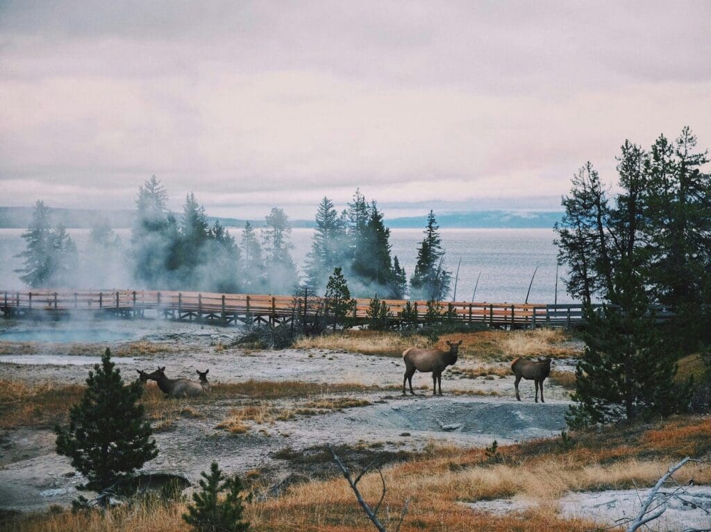 Yellowstone valley, as one of the best places to visit in North America