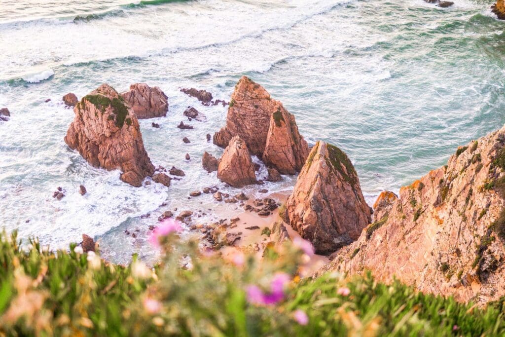 Cliff coast line with tall rocks, flowers, and ocean, for an article about travel insurance